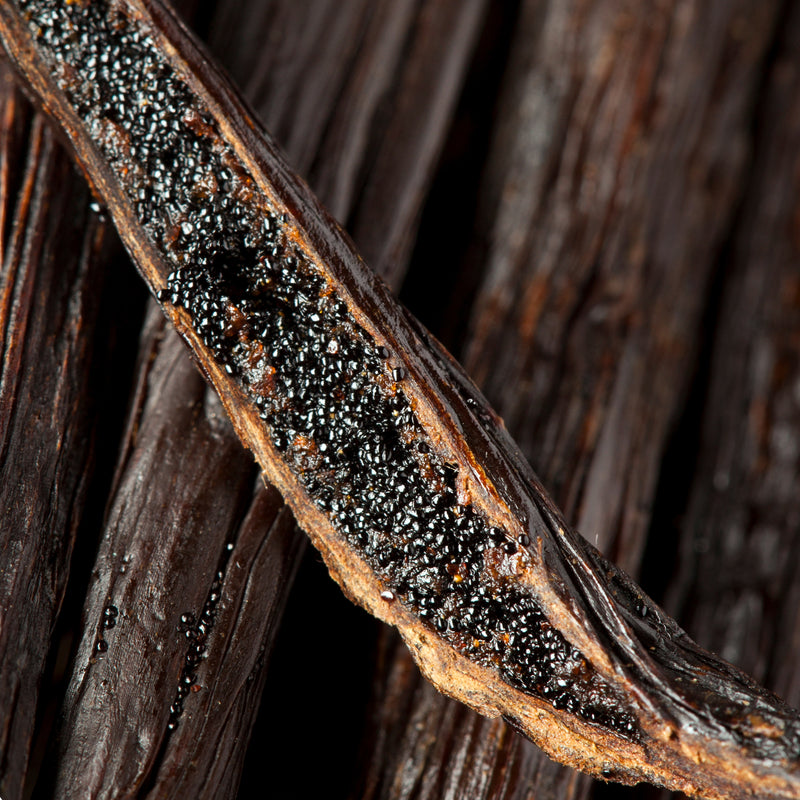 Vanilla Bean Reed Diffuser 6 oz